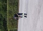 DSCN2940