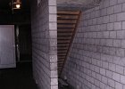 DSCN2954