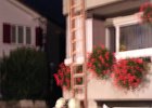 DSCN3407