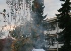 IMG 3908