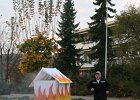 IMG 3910