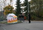 IMG 3916