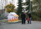 IMG 3917