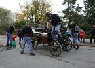 IMG 3942