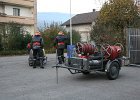 IMG 3978