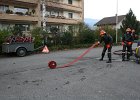 IMG 3979