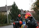 IMG 3980