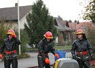 IMG 3981