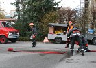 IMG 3986