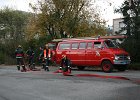 IMG 3992
