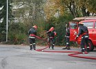 IMG 3994