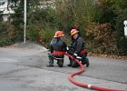 IMG 3996