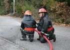 IMG 3997