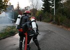IMG 4003