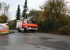 IMG 4015