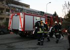 IMG 4021