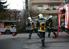 IMG 4030