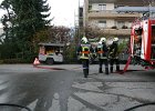IMG 4031
