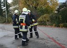 IMG 4032