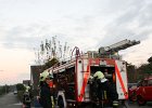 IMG 4037