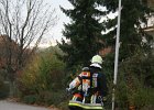 IMG 4047