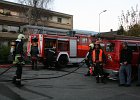 IMG 4058