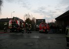 IMG 4061