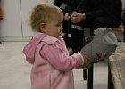 IMG 4101