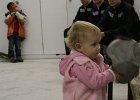 IMG 4102