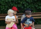 IMG 4815