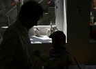 IMG 4818