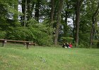 IMG 4626