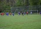 IMG 4630