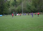 IMG 4664