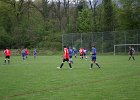 IMG 4667