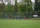IMG 4686