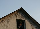 IMG 5736