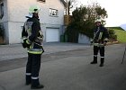 IMG 5741