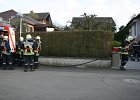 IMG 5764