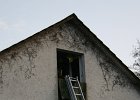 IMG 5775