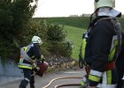 IMG 5799