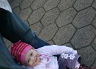 IMG 5804
