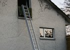 IMG 5805