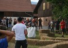 IMG 6090