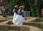 IMG 6095