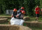 IMG 6096