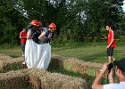 IMG 6101