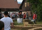 IMG 6106