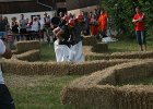 IMG 6110