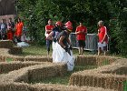 IMG 6111